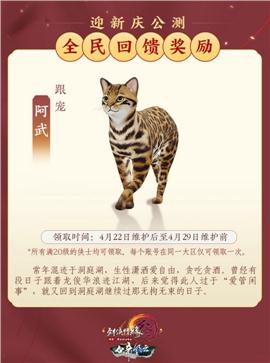志颖天龙八部私服